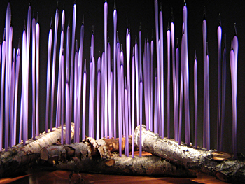 Chihuly15