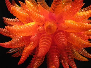 Chihuly26