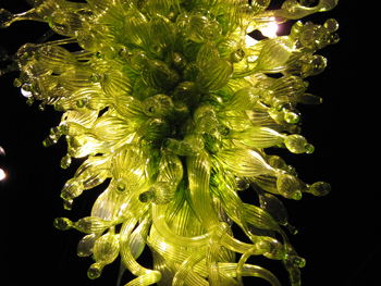 Chihuly25